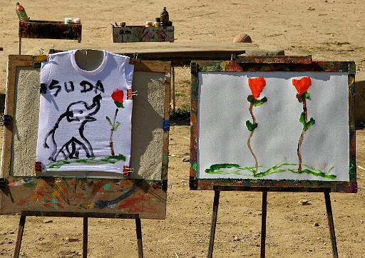 0667 Olifantenkamp.jpg